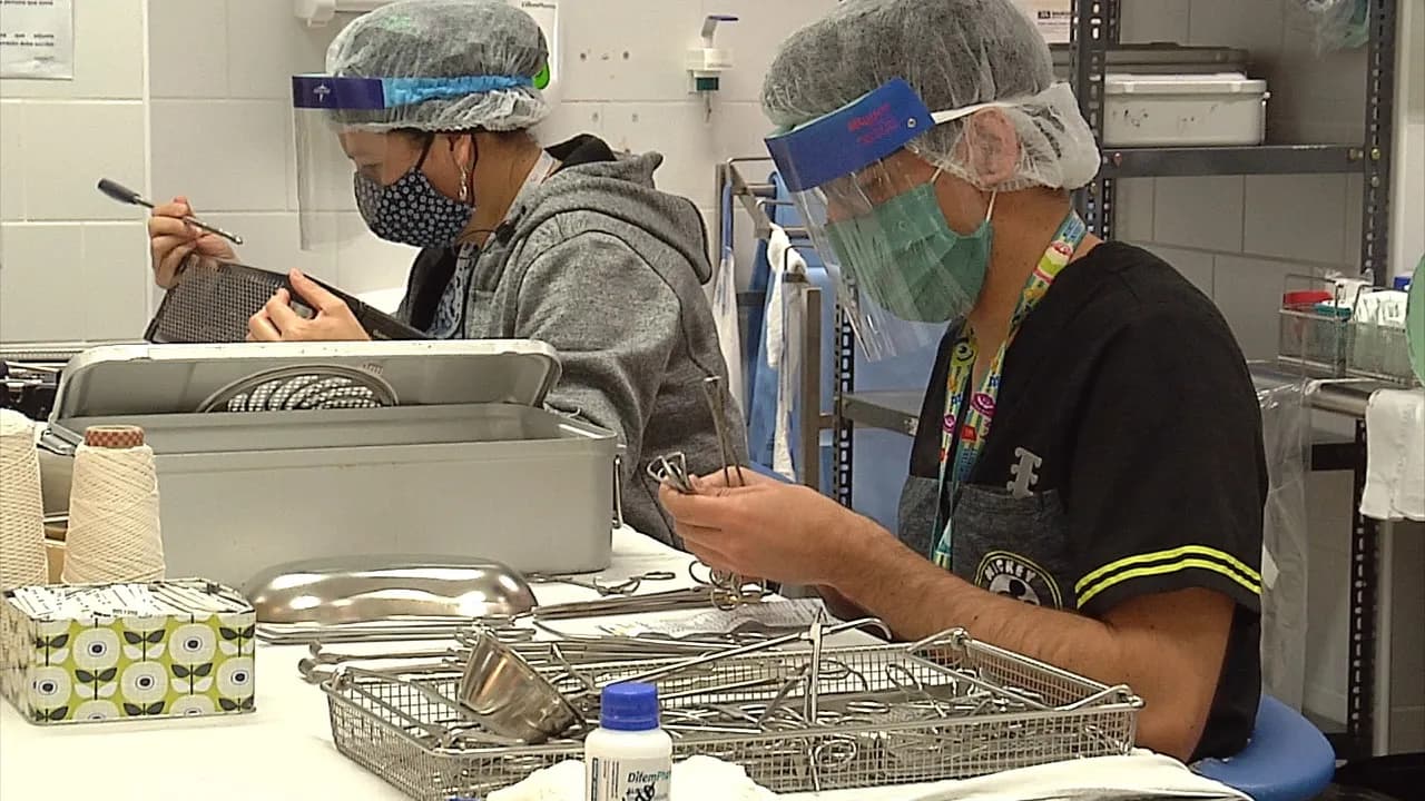 El desafío que plantea la  pandemia a las unidades de esterilización.