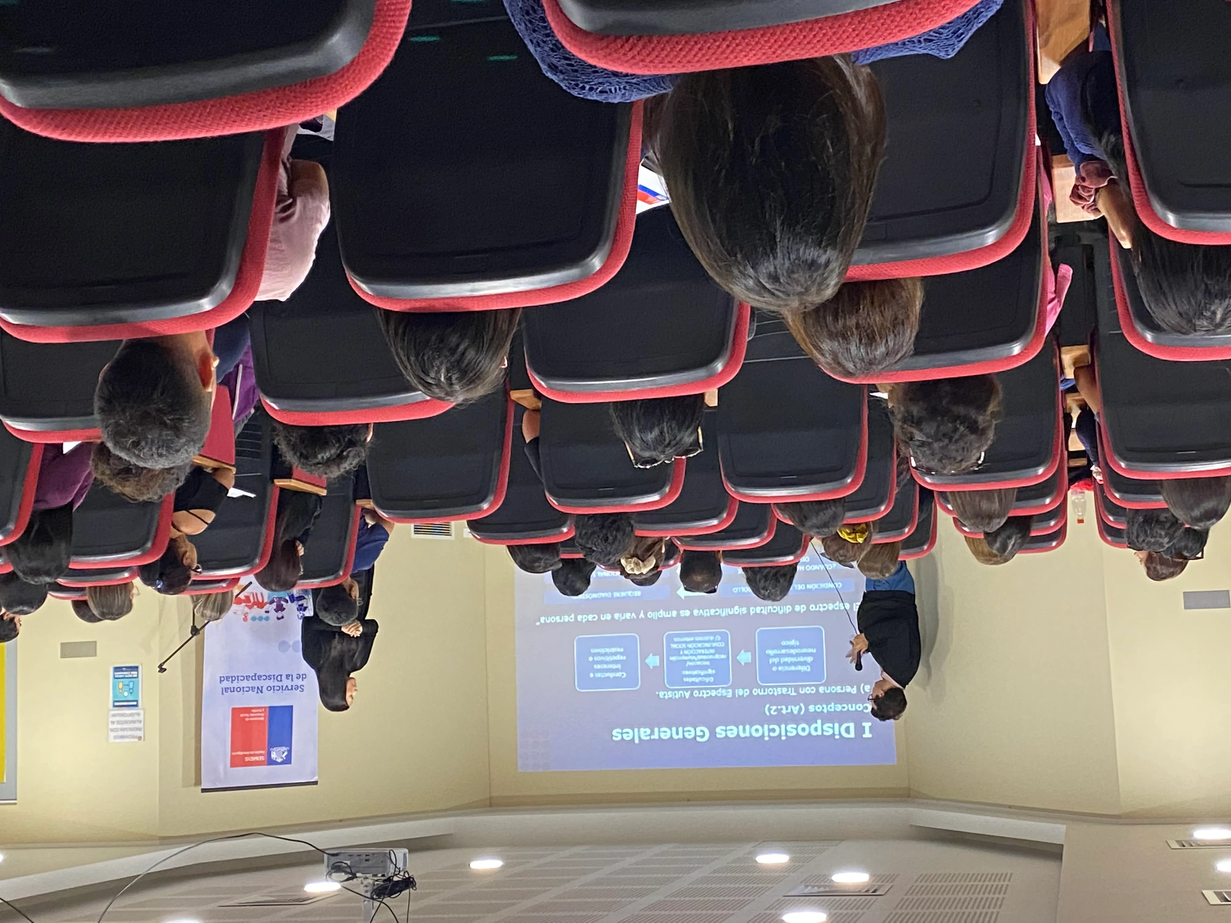 Resultados regionales de la última encuesta de discapacidad y la nueva Ley TEA fueron los temas c...