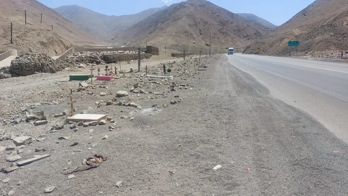 Adiós al cementerio ilegal de animales en la Ruta 24