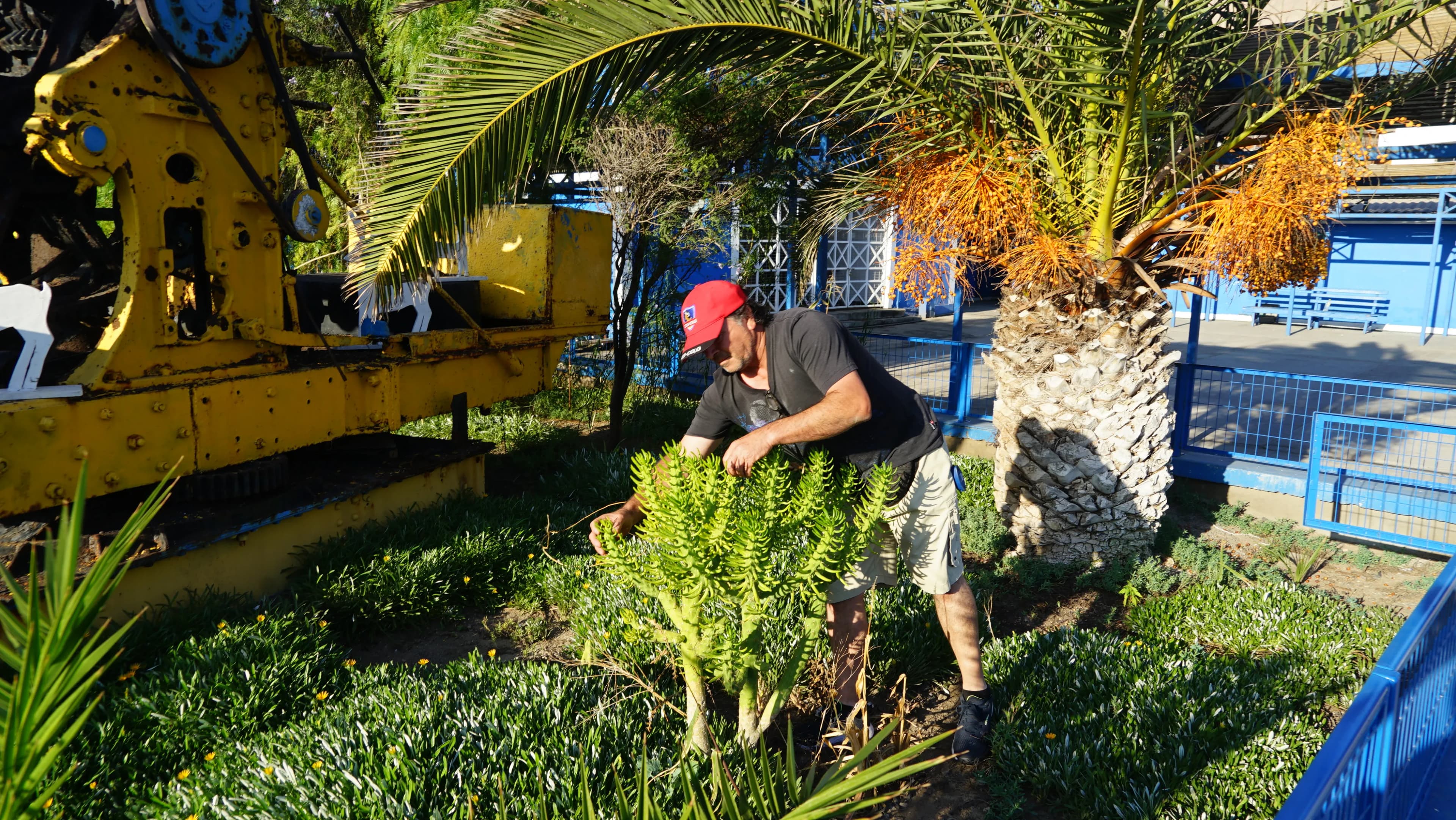 Mejoras en el emblemático Muelle de Tocopilla se logran con Fondo Ambiental y Patrimonial de El A...