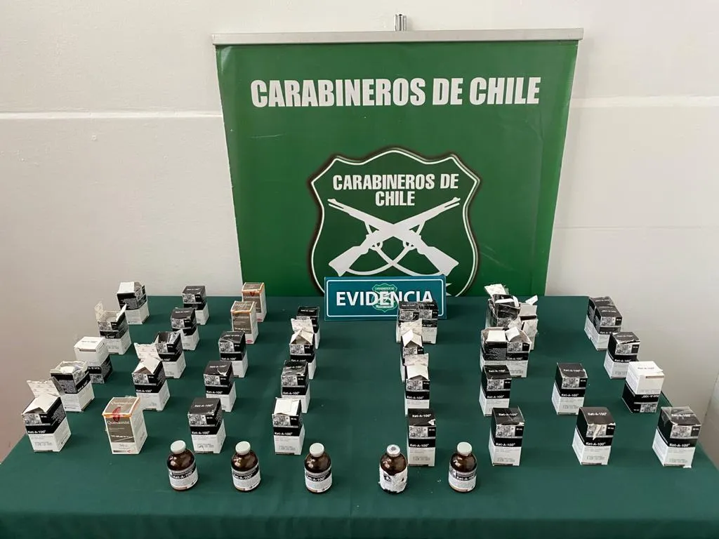 Carabineros sorprende tráfico de 6 millones de pesos en anestésico.