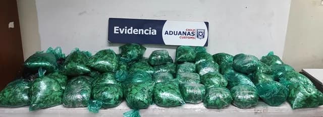 Peruano pretendía llevas más de 23 kilos de droga hasta Antofagasta. Otros 6 bolivianos fueron de...