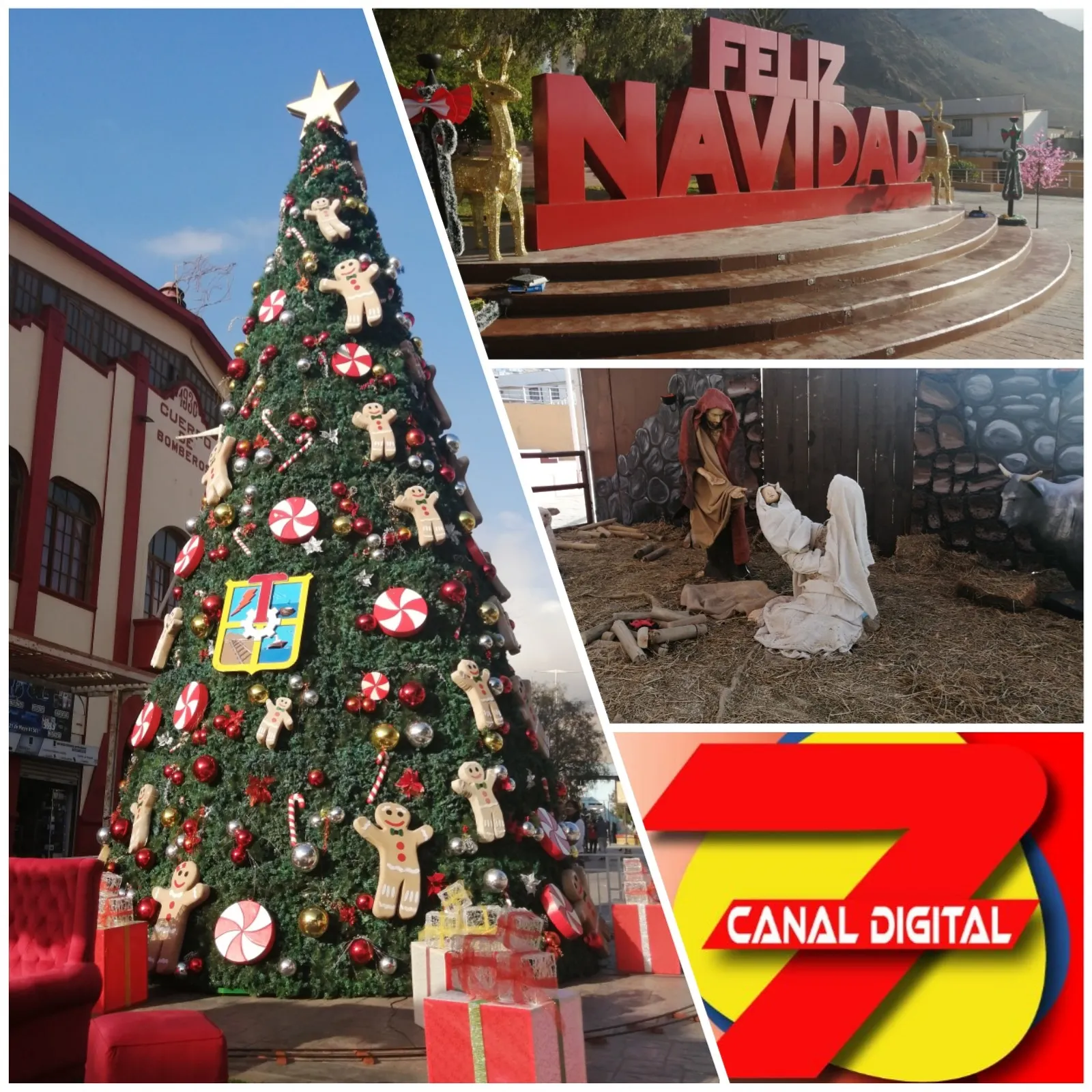 Actividad de encendido de Árbol de Navidad en Tocopilla.