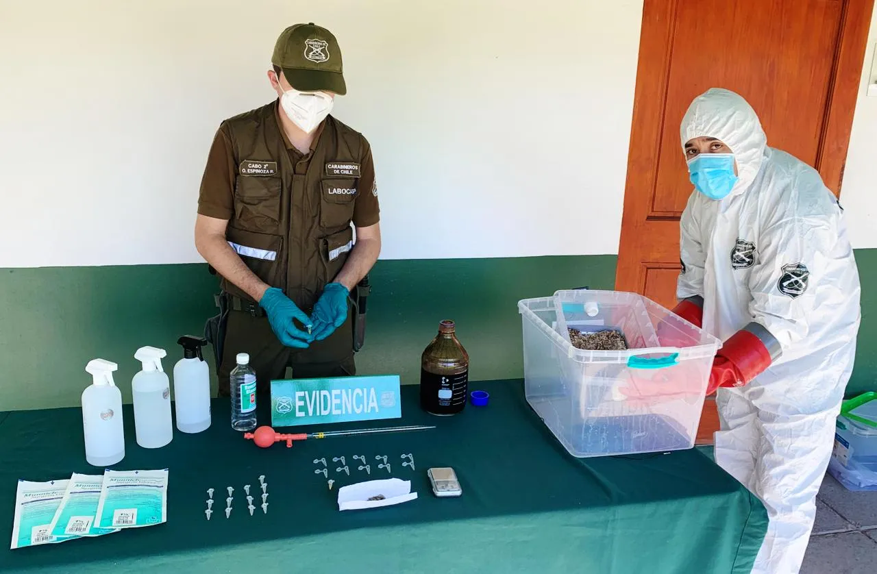 Carabineros desbarata laboratorio dedicado a elaborar la droga “DE LOS DIOSES”.