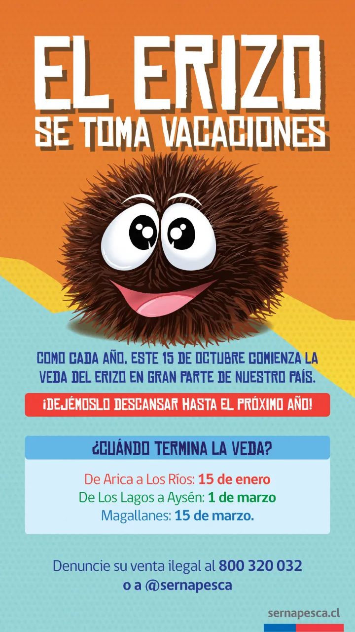 Hoy comienza veda del erizo en gran parte del país.