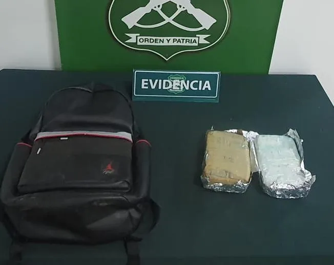 En fiscalización carabineros detecta tráfico de casi 3 kilos de drogas.