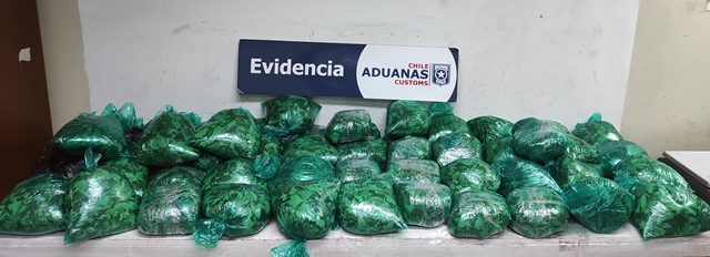 Peruano pretendía llevas más de 23 kilos de droga hasta Antofagasta. Otros 6 bolivianos fueron detenidos con 77 kilos de hojas de coca.