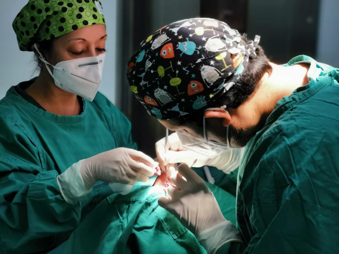 Hospital Regional de Antofagasta realiza moderna cirugía para el cáncer del piel: Presenta menos tasas de recurrencia del tumor y deja menos secuelas.