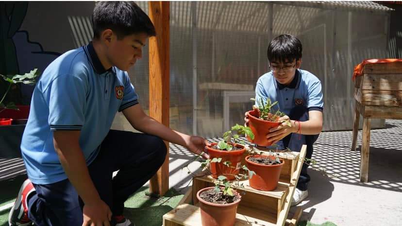 Escuela de Tocopilla implementa espacios verdes con Fondo Escolar de El Abra.